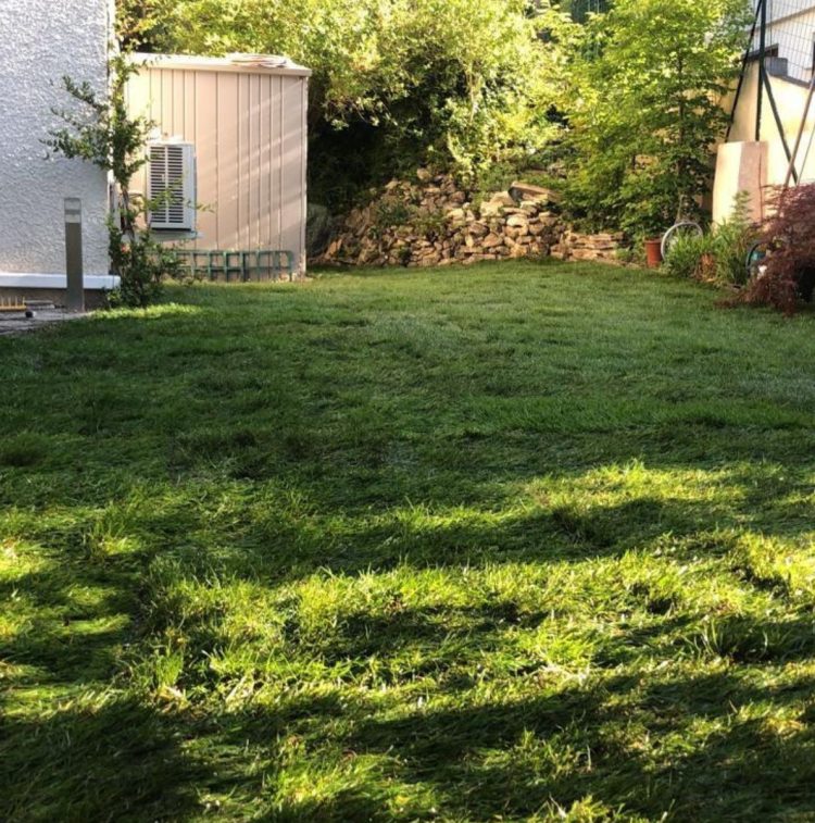 Janmer Elagage Espace